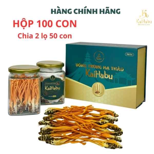 100 con đông trùng hạ thảo ký chủ nhộng KaiHabu, 2 lọ x 50 con, tổng 100 con